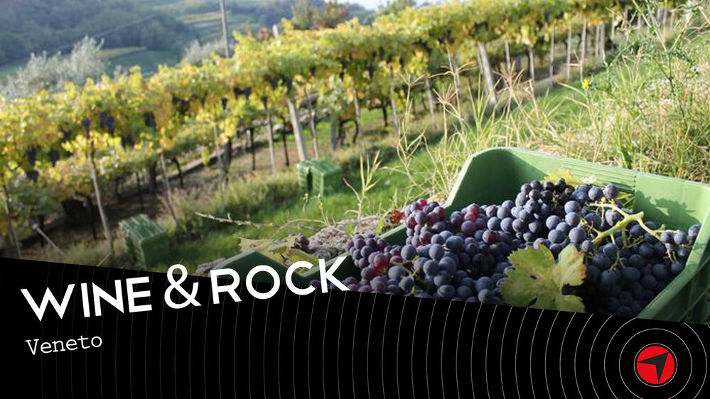 Wine & Rock - Veneto