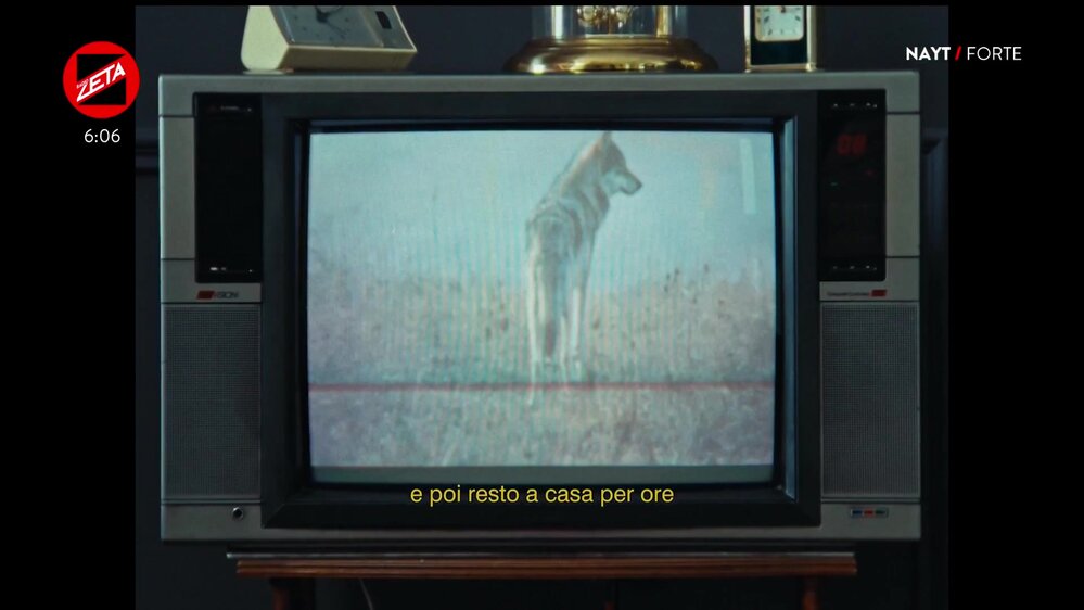 Puntata del 11/07/2026