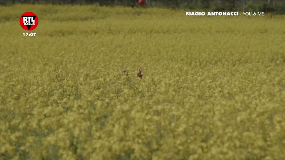 Puntata del 12/05/2026