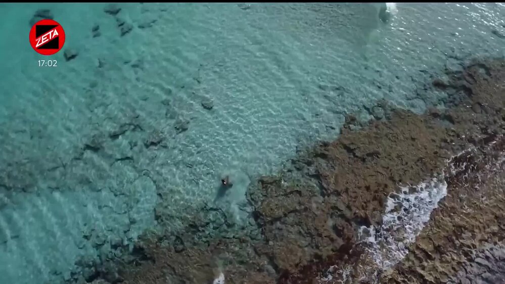 Puntata del 24/01/2026