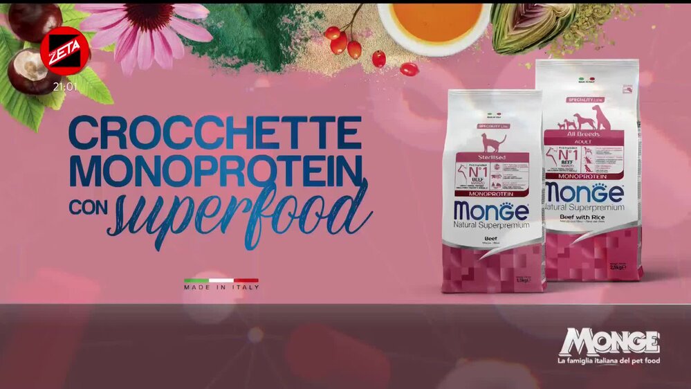 Puntata del 08/12/2025