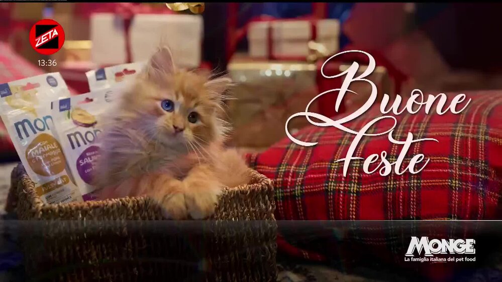 Puntata del 19/12/2025