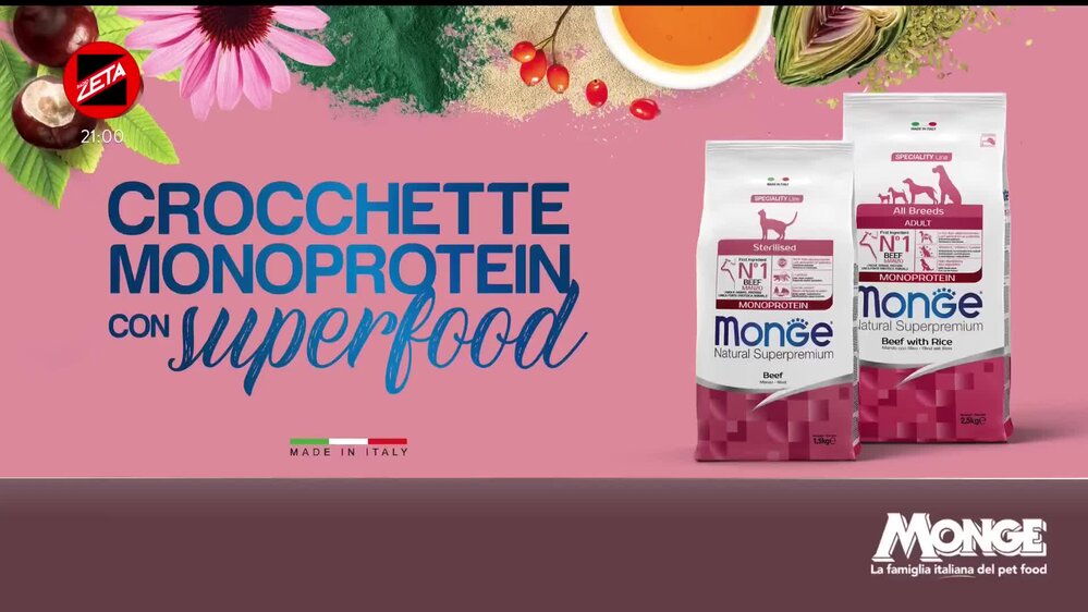 Puntata del 10/12/2025