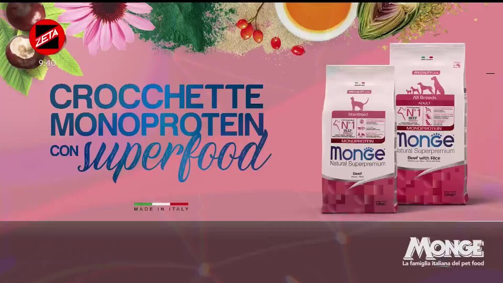 Puntata del 16/02/2026