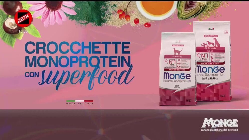 Puntata del 19/02/2026