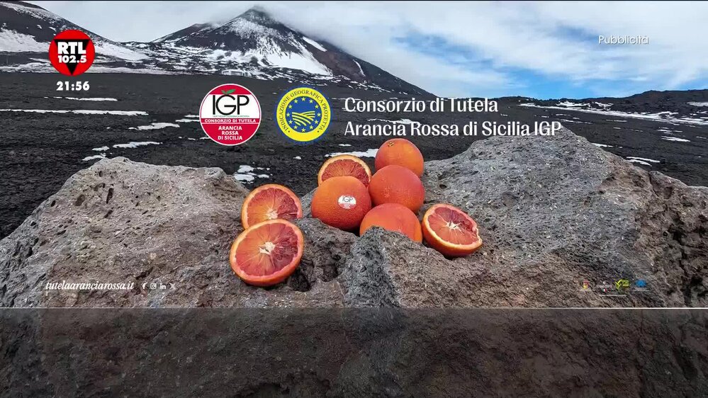 Puntata del 18/02/2026