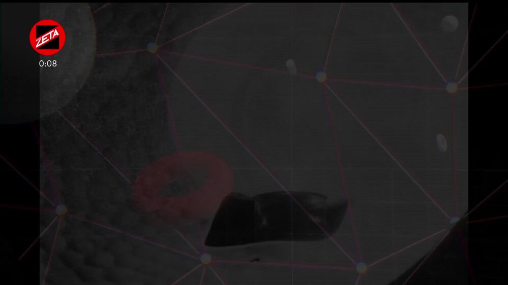 Puntata del 29/12/2025