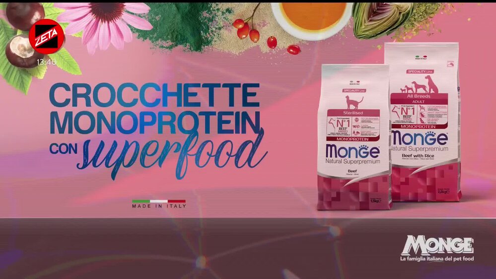 Puntata del 16/02/2026