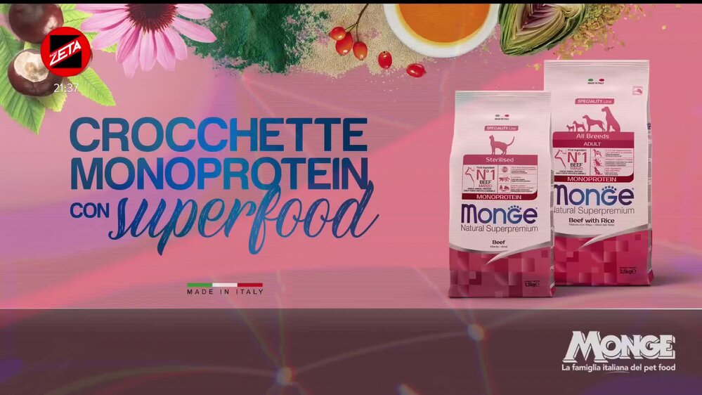 Puntata del 12/12/2025