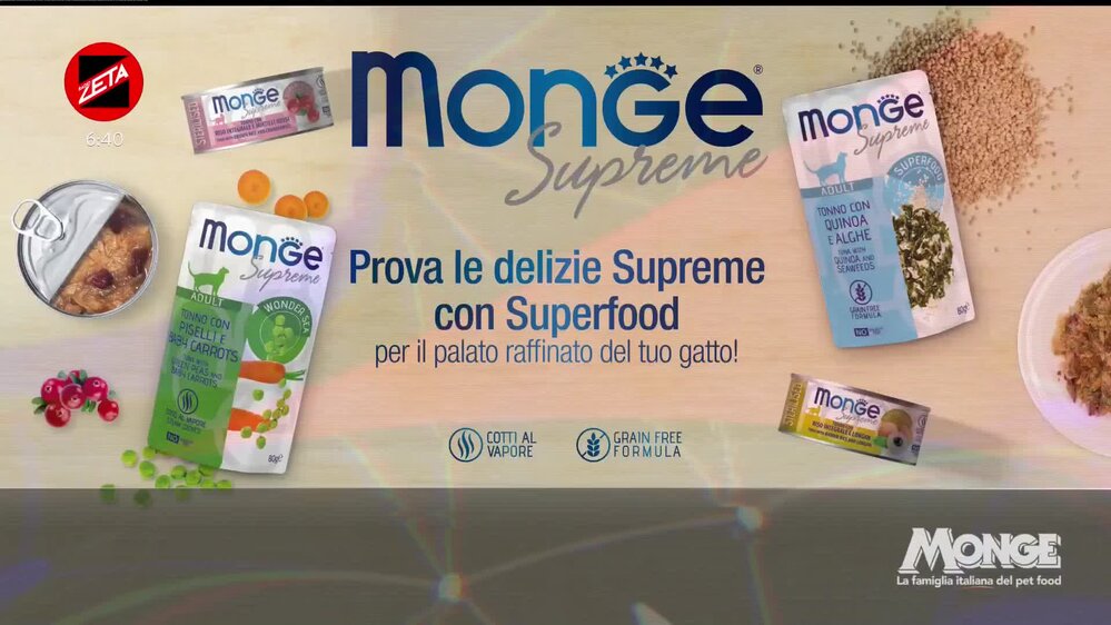 Puntata del 04/04/2026