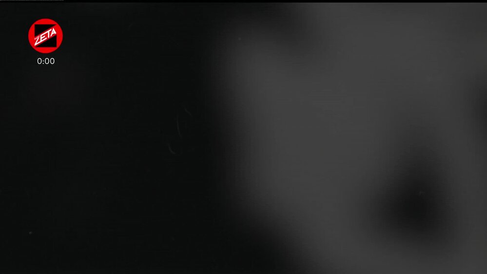 Puntata del 28/12/2025