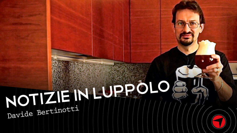 NOTIZIE IN LUPPOLO - Davide Bertinotti